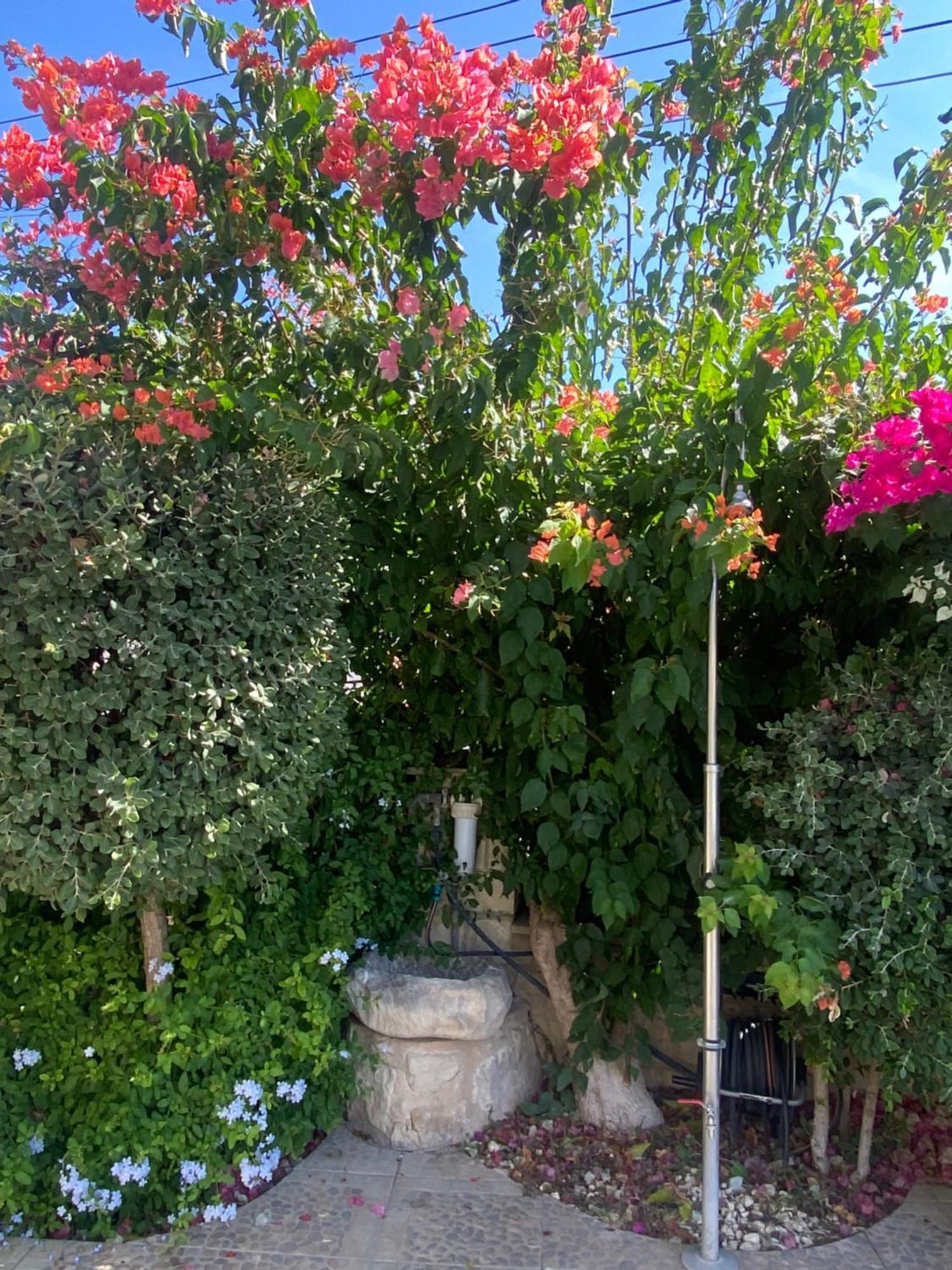 Almond Grove Villa Simou Exterior foto