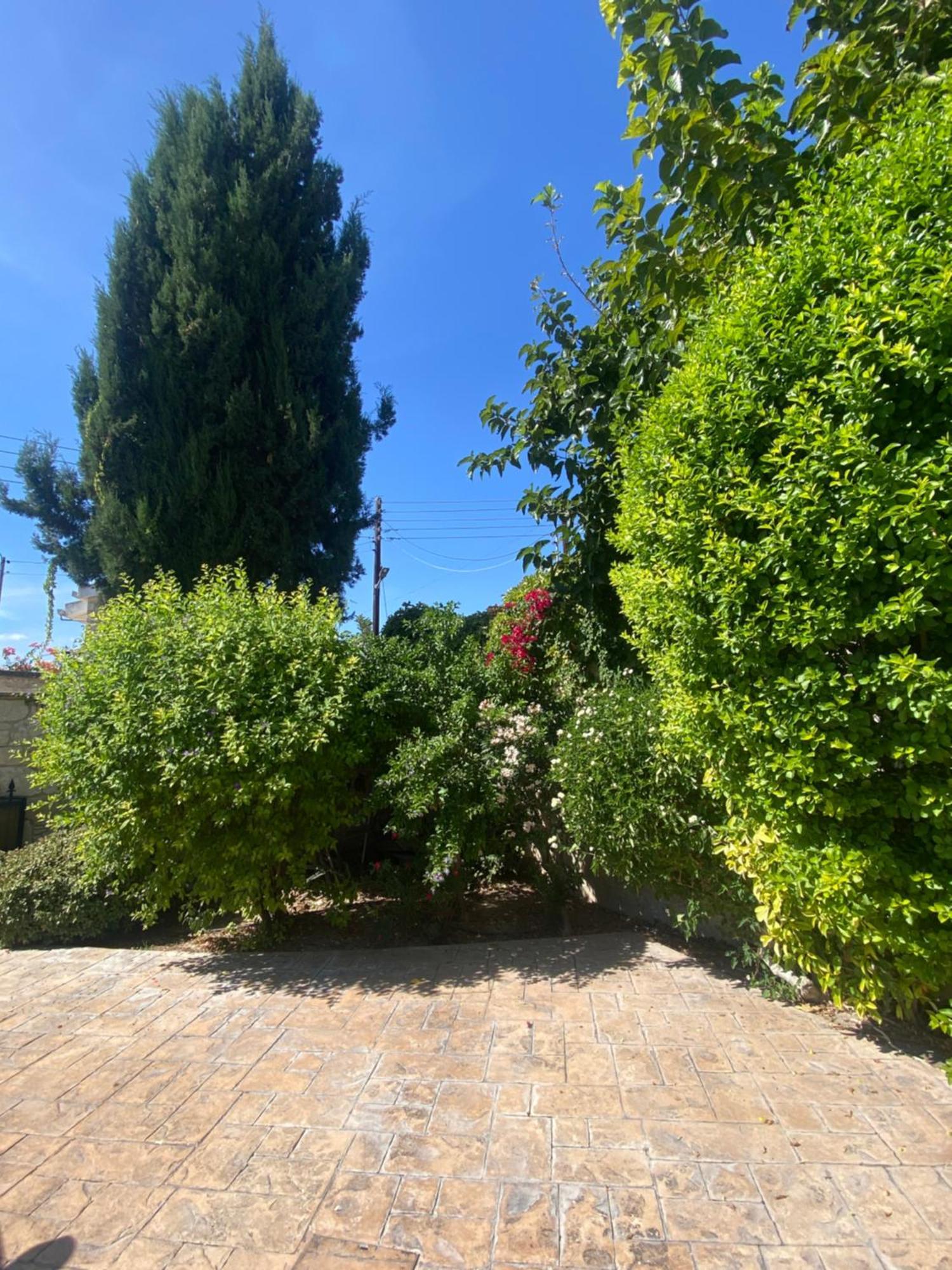 Almond Grove Villa Simou Exterior foto